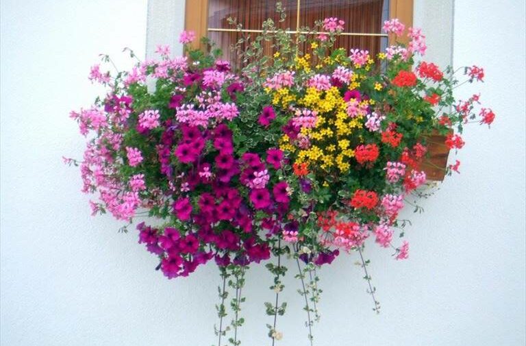 Una finestra "in fiore"