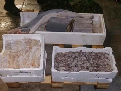 Prodotti ittici sequestrati dalla Guardia costiera - archivio