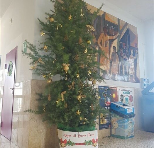 Gli alberi di Natale donati da Ambiente 2.0