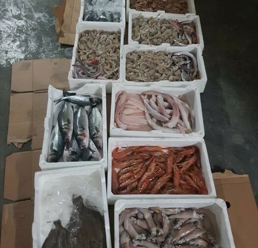 Sequestrati dalla Polizia Locale 50 kg di pesce venduto abusivamente