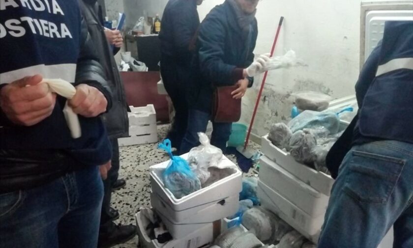 Quattro tonnellate di prodotti ittici scaduti dal 2012 in vendita a Bisceglie​
