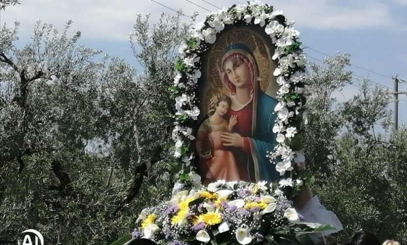 ​Grande partecipazione alla fiera campestre dedicata alla Madonna di Giano​