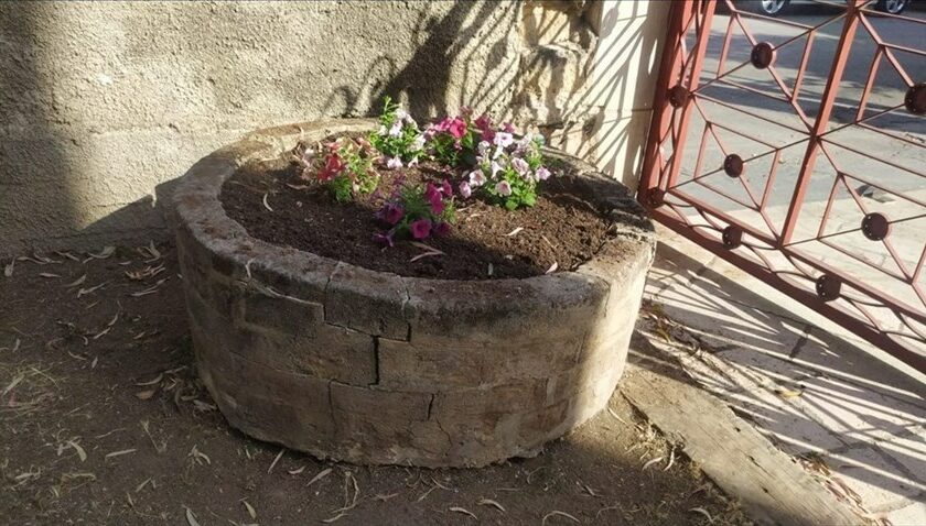 Rubati i fiori piantati dai profughi ucraini. Subito ripiantati