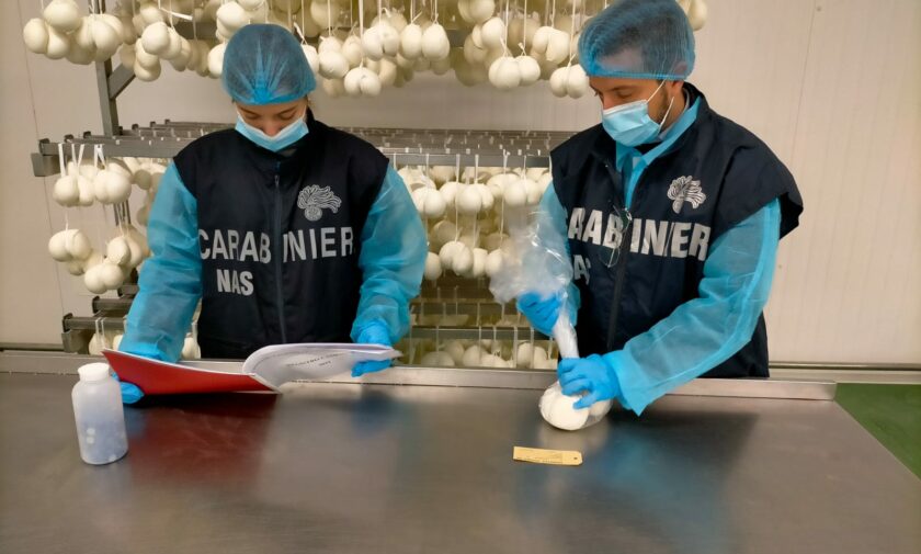 foto di Controlli del Nas dei carabinieri, sequestrati formaggi in un caseificio di Bisceglie